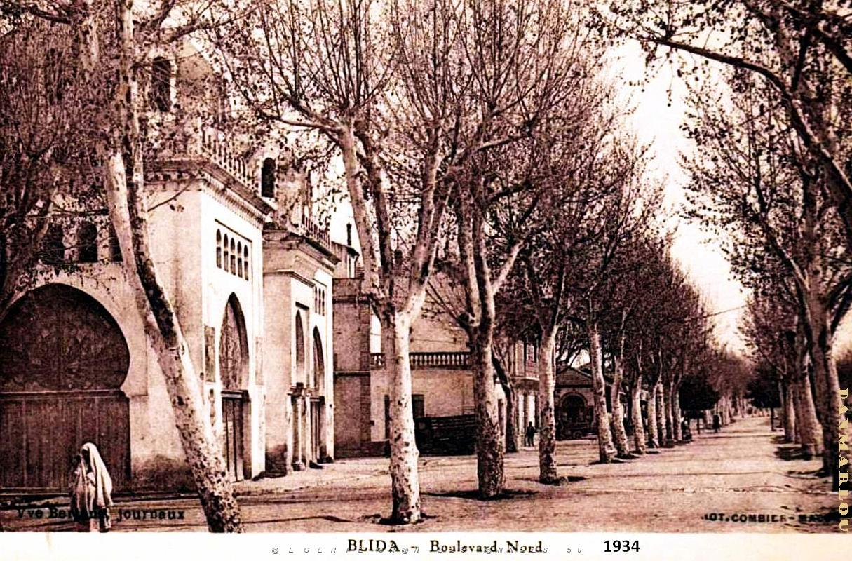 Blida - Boulevard Nord - 1934.jpg